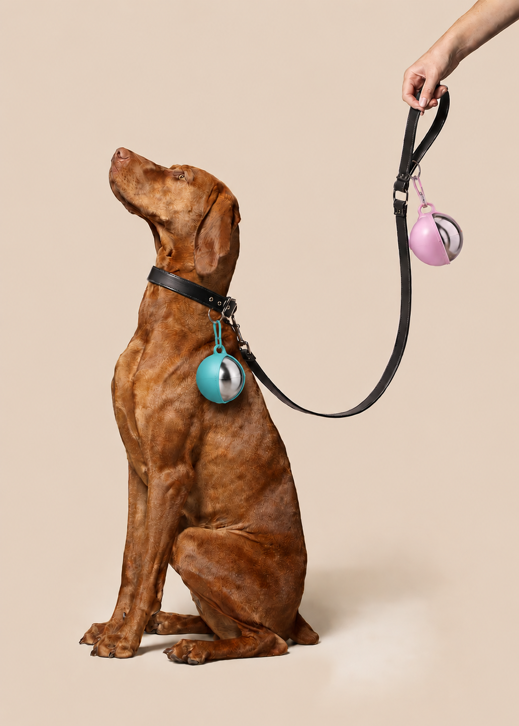 PawCollective Portable Water  Bottle